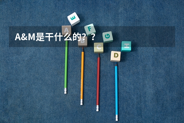 A&M是干什么的??