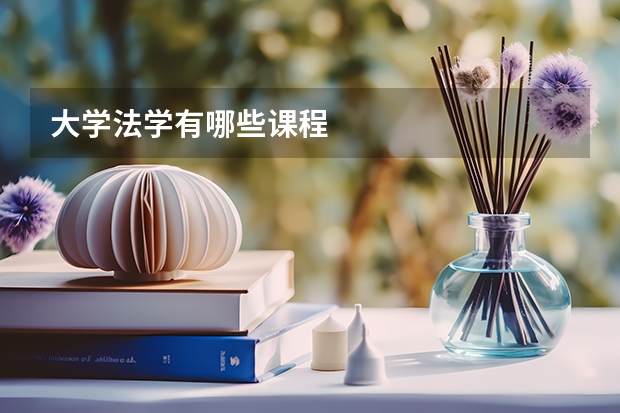 大学法学有哪些课程