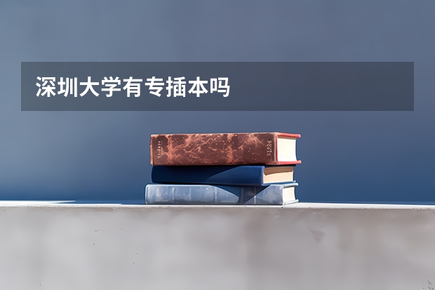 深圳大学有专插本吗