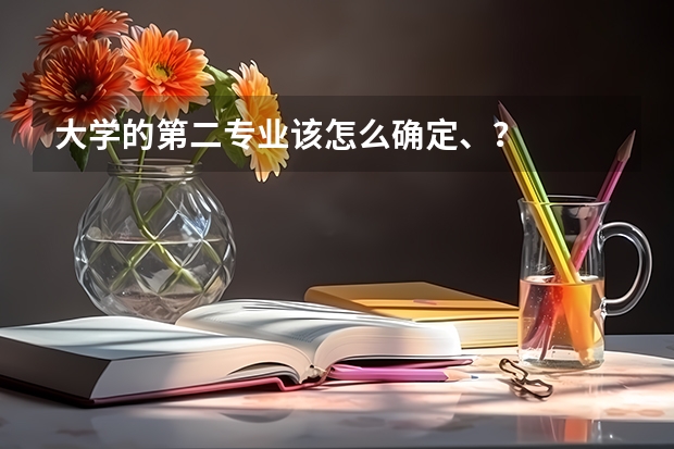 大学的第二专业该怎么确定、？