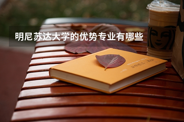 明尼苏达大学的优势专业有哪些