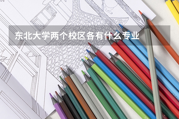东北大学两个校区各有什么专业