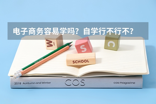 电子商务容易学吗？自学行不行不？