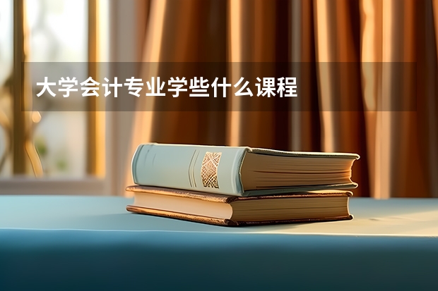 大学会计专业学些什么课程