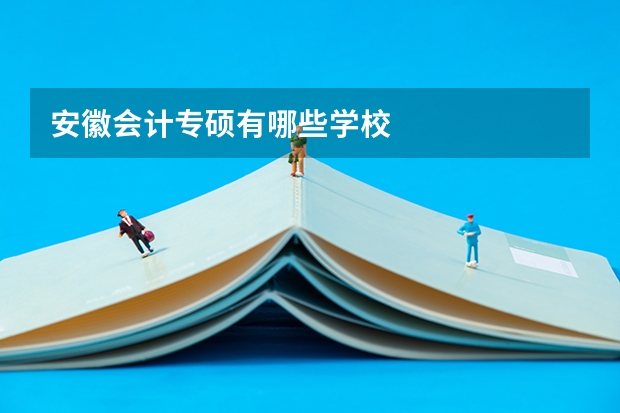 安徽会计专硕有哪些学校
