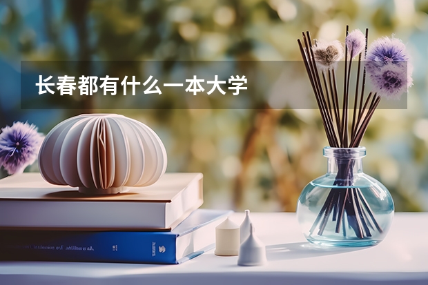 长春都有什么一本大学
