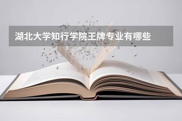 湖北大学知行学院王牌专业有哪些
