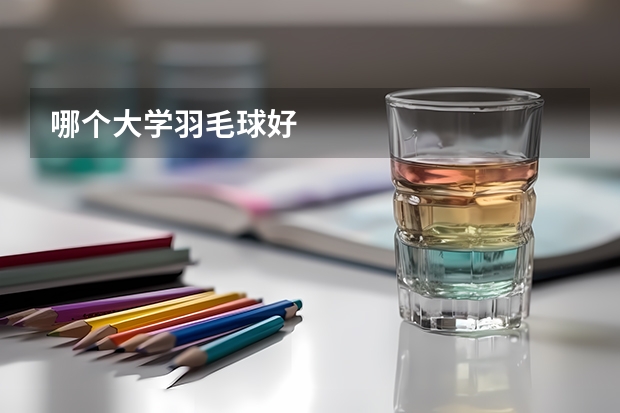 哪个大学羽毛球好