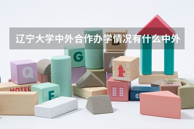 辽宁大学中外合作办学情况有什么中外合作办学专业？