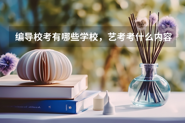 编导校考有哪些学校,艺考考什么内容