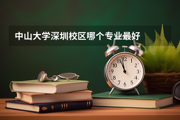 中山大学深圳校区哪个专业最好