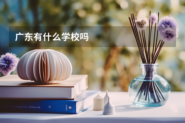 广东有什么学校吗