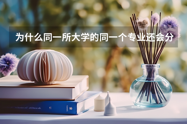 为什么同一所大学的同一个专业还会分一本和二本