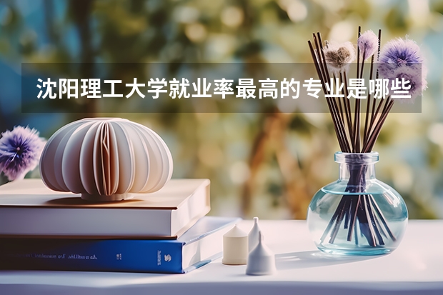 沈阳理工大学就业率最高的专业是哪些