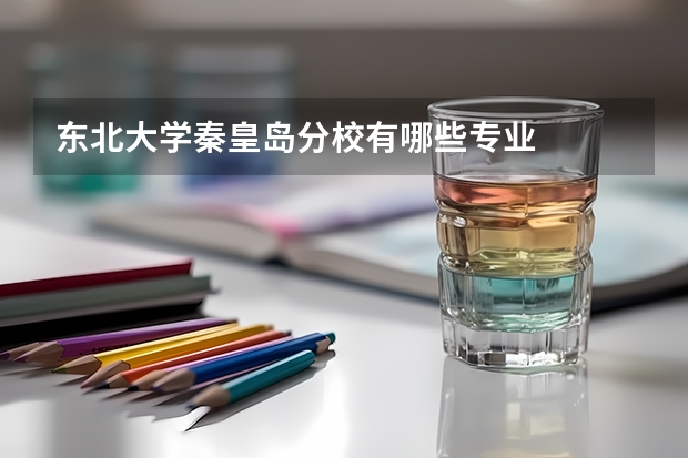 东北大学秦皇岛分校有哪些专业